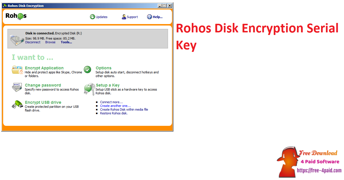 Rohos Disk Encryption Serial Key