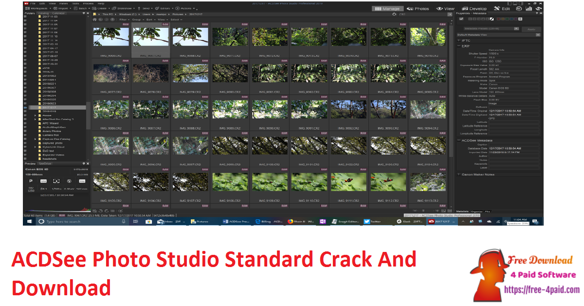 ACDSee Photo Studio Standard Crack And Download