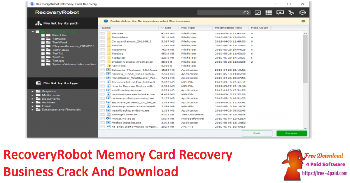 RecoveryRobot Memory Card Recovery Business Crack And Download