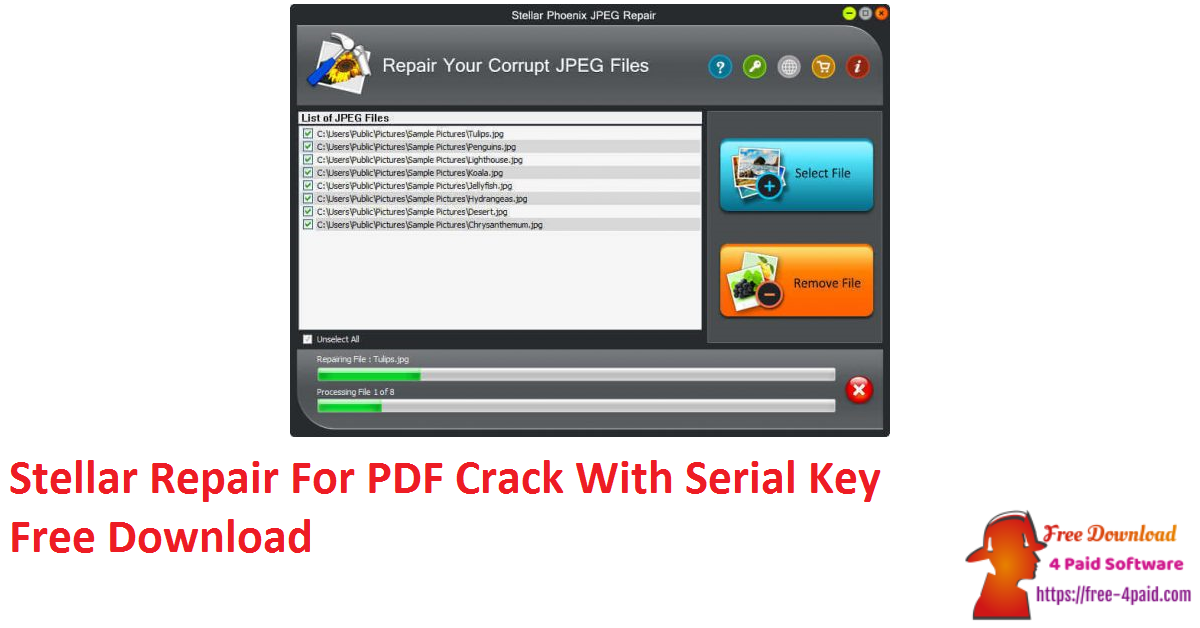 Stellar Repair For PDF Crack With Serial Key Free Download