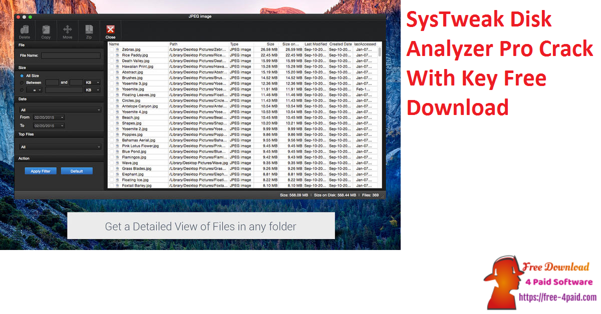 SysTweak Disk Analyzer Pro Crack With Key Free Download