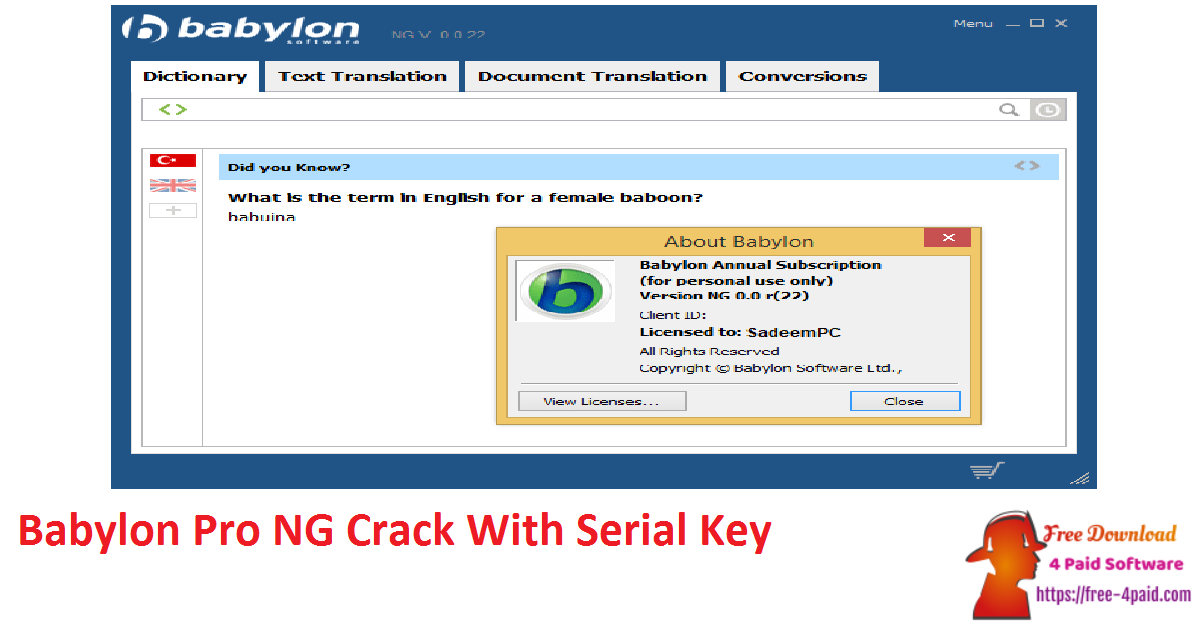 Babylon Pro NG Crack With Serial Key