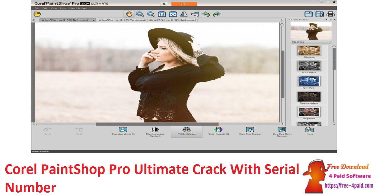 Corel PaintShop Pro Ultimate Crack With Serial Number