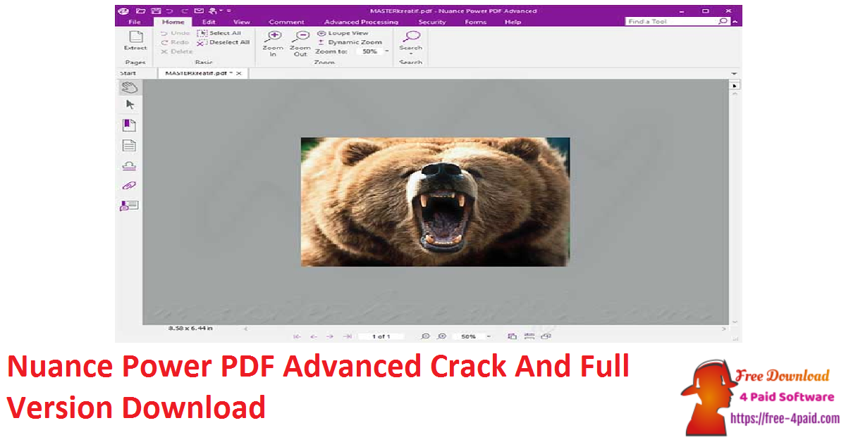 Nuance Power PDF Advanced Crack And Full Version Download