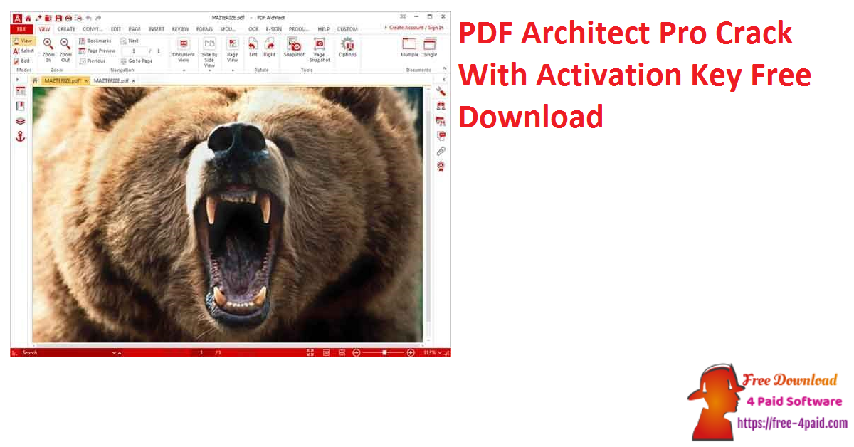 PDF Architect Pro Crack With Activation Key Free Download