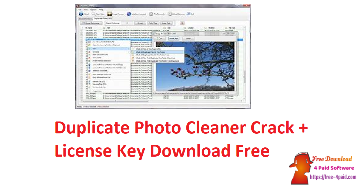 100 free duplicate photo cleaner