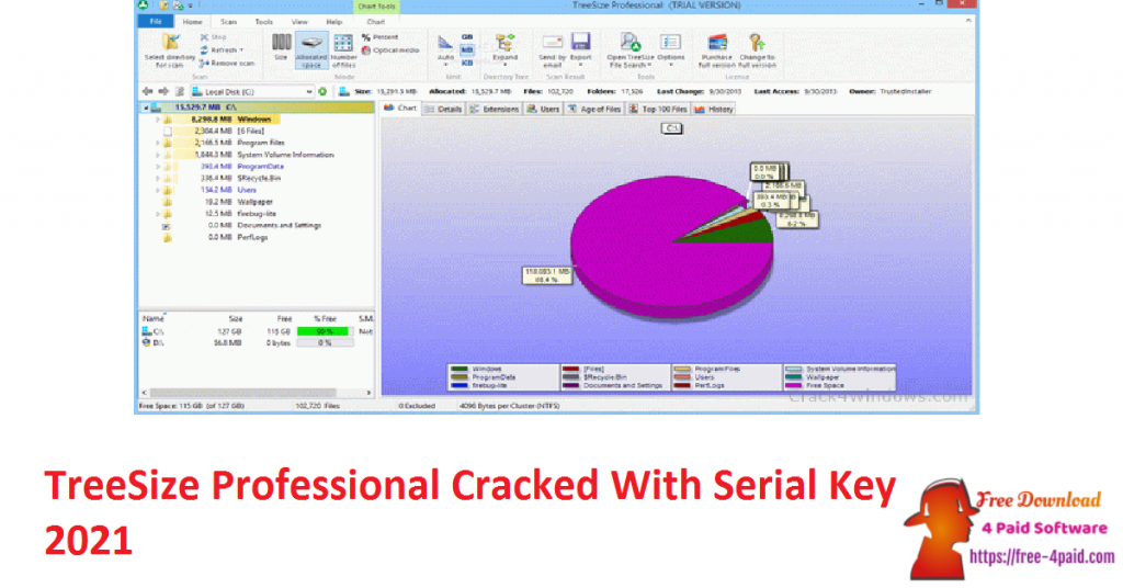 TreeSize Professional Cracked With Serial Key 2021