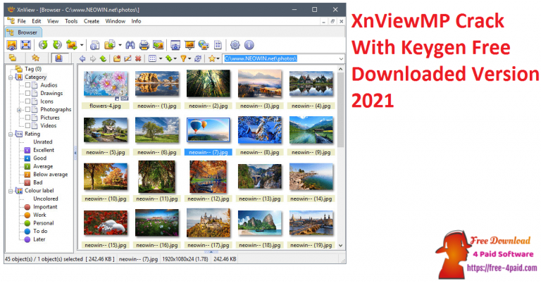 XnViewMP 1.5.2 download the new