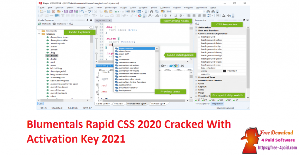 Blumentals Rapid CSS 2020 Cracked With Activation Key 2021