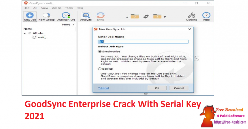 GoodSync Enterprise Crack With Serial Key 2021
