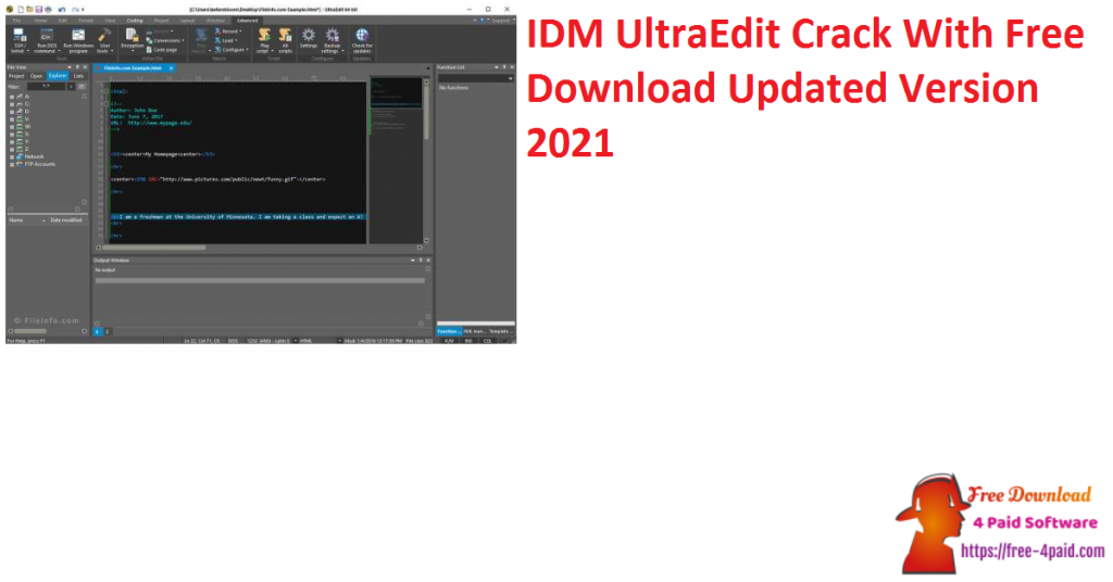 IDM UltraEdit Crack With Free Download Updated Version 2021