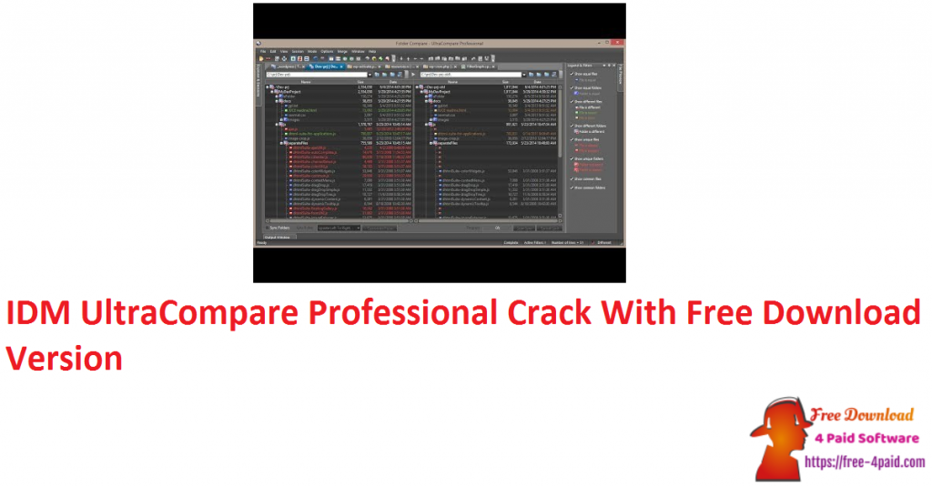 IDM UltraCompare Professional Crack With Free Download Version
