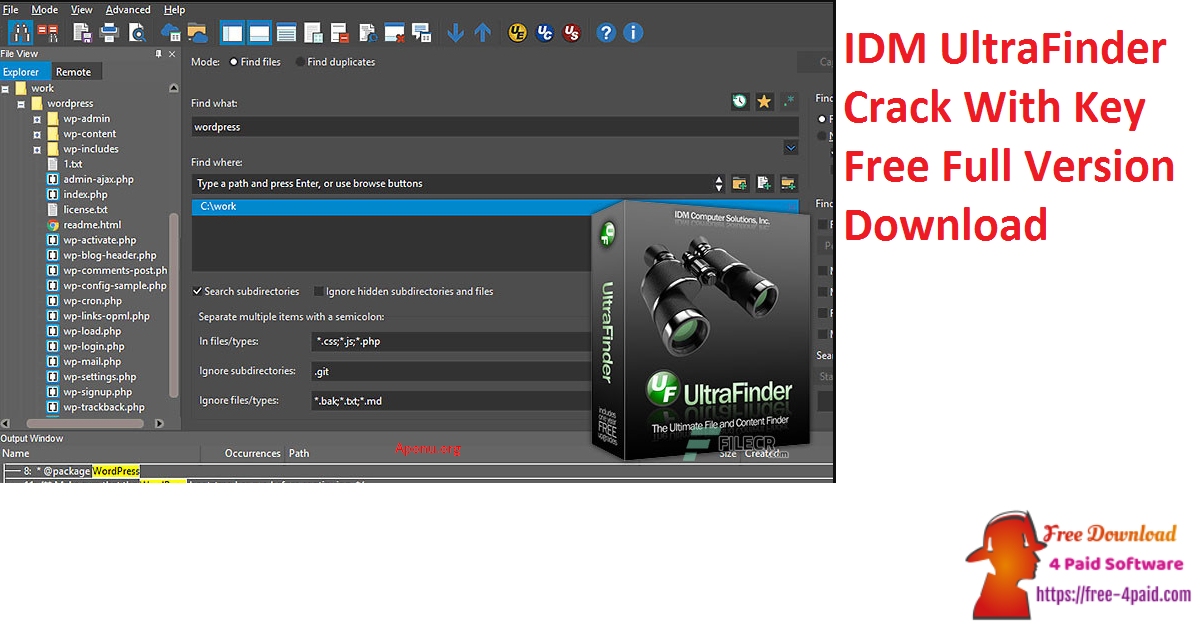 IDM UltraFinder Crack With Key Free Full Version Download