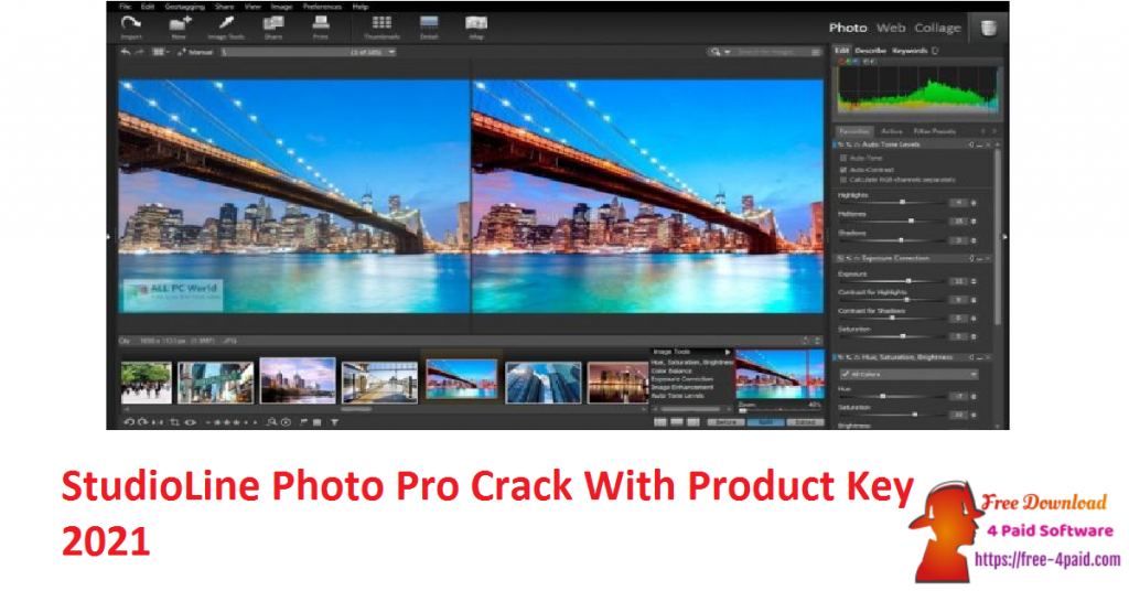StudioLine Photo Pro Crack With Product Key 2021