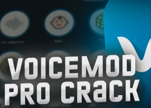 Voicemod Pro